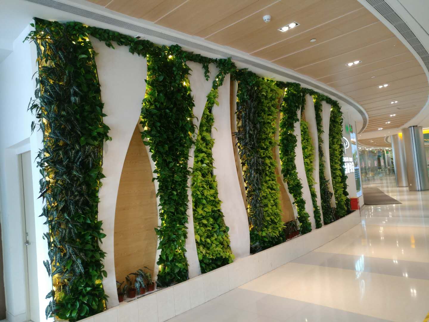 “孕产妇心理健康公益行”在湛江启动