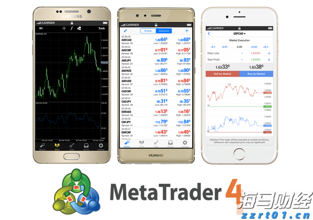 独立候选人纳夫罗茨基赢得波兰总统选举