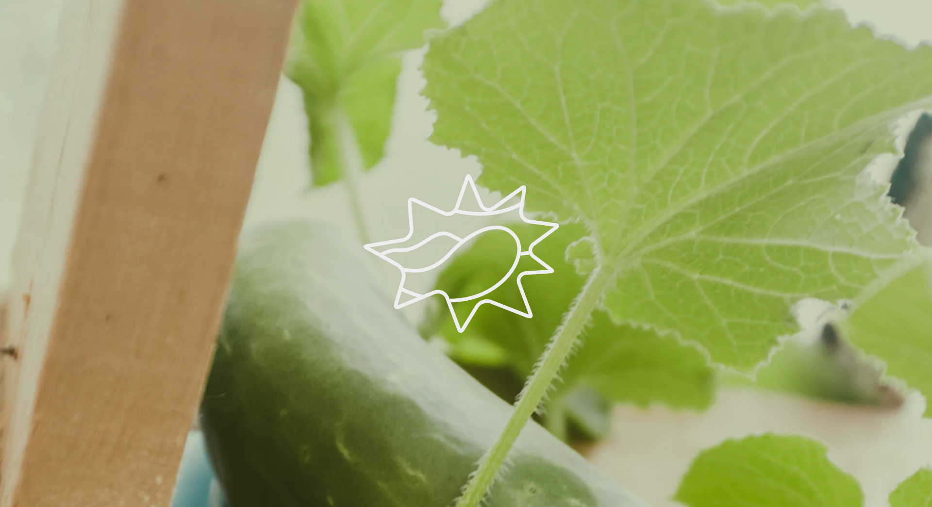 开启创新之门 走稳创业之路