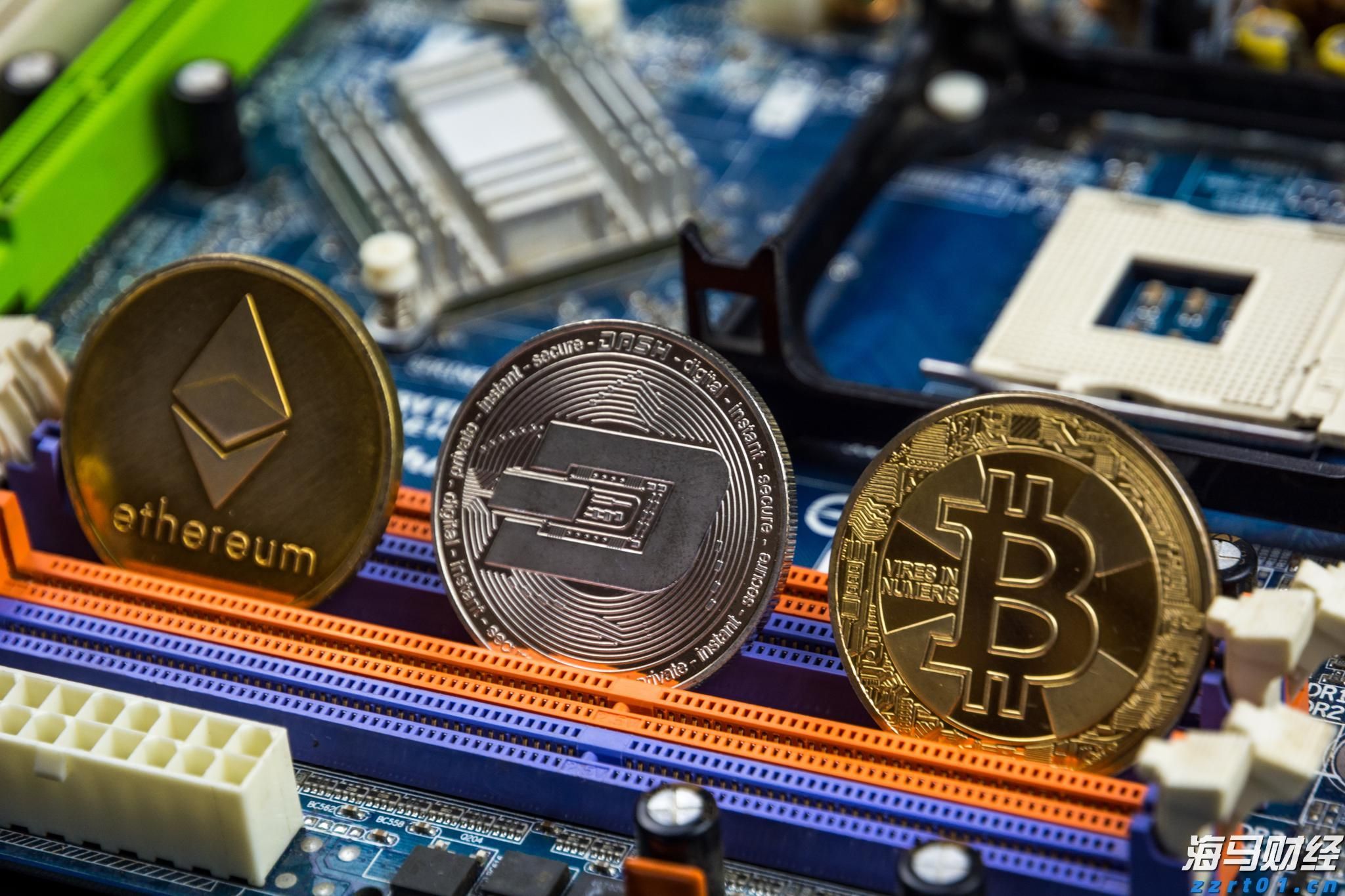 烈犬撕咬路人致其当场死亡,狗主人坐牢!