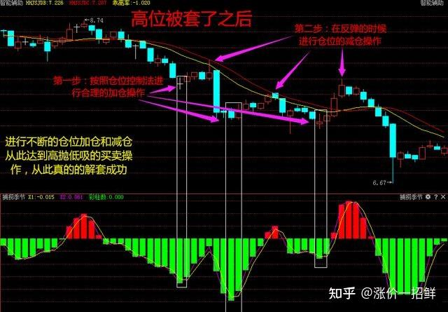 “湛江：中国海鲜美食之都解码之旅”榜上有名