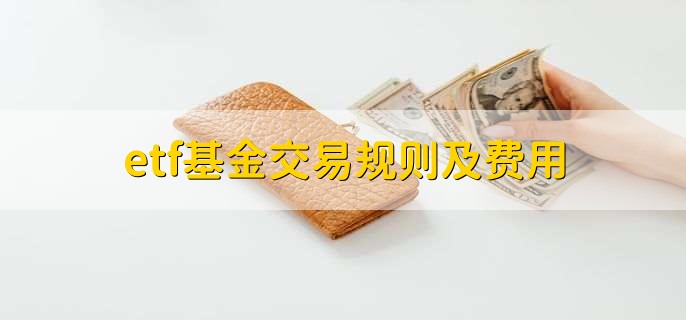 换道AI后，七牛智能（02567）领涨48.8%背后的战略升维