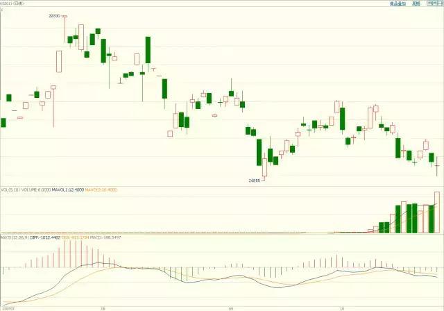 我市部署台风“韦帕”防御工作