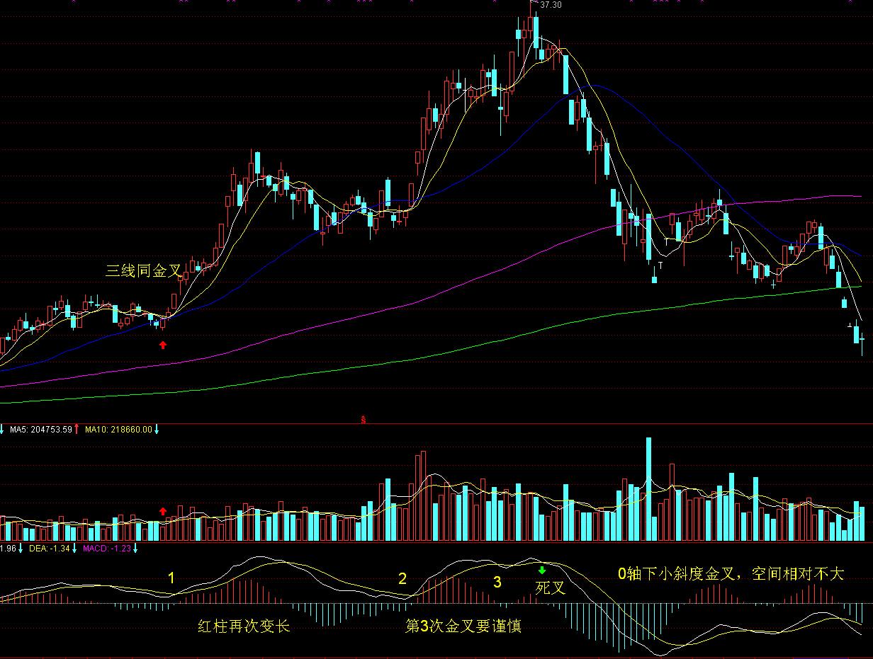 坝上大风车成孩子们的“科普宝藏”