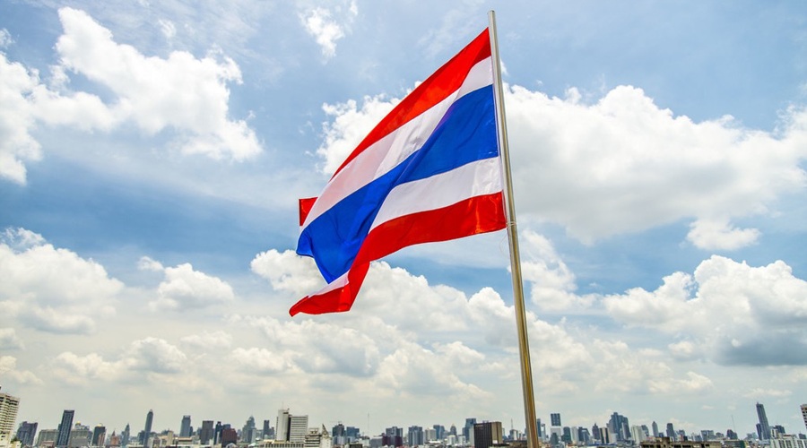 我市启用驾培公共服务平台