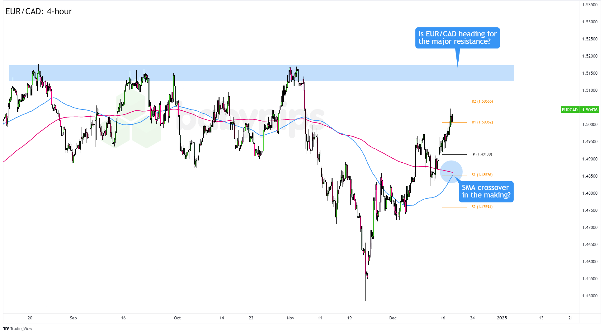 我市部署2025年春季农业生产工作